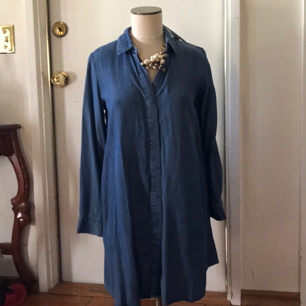 NWT JOAN VASS JEAN DRESS